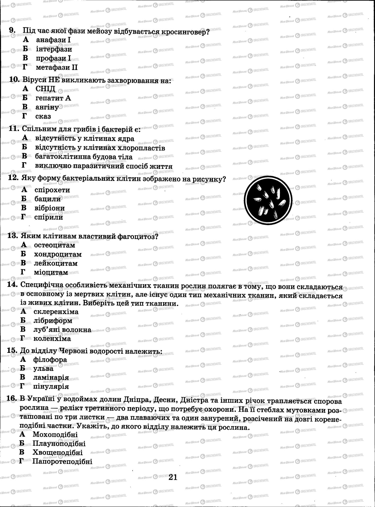 ЗНО Биология 11 класс страница 021