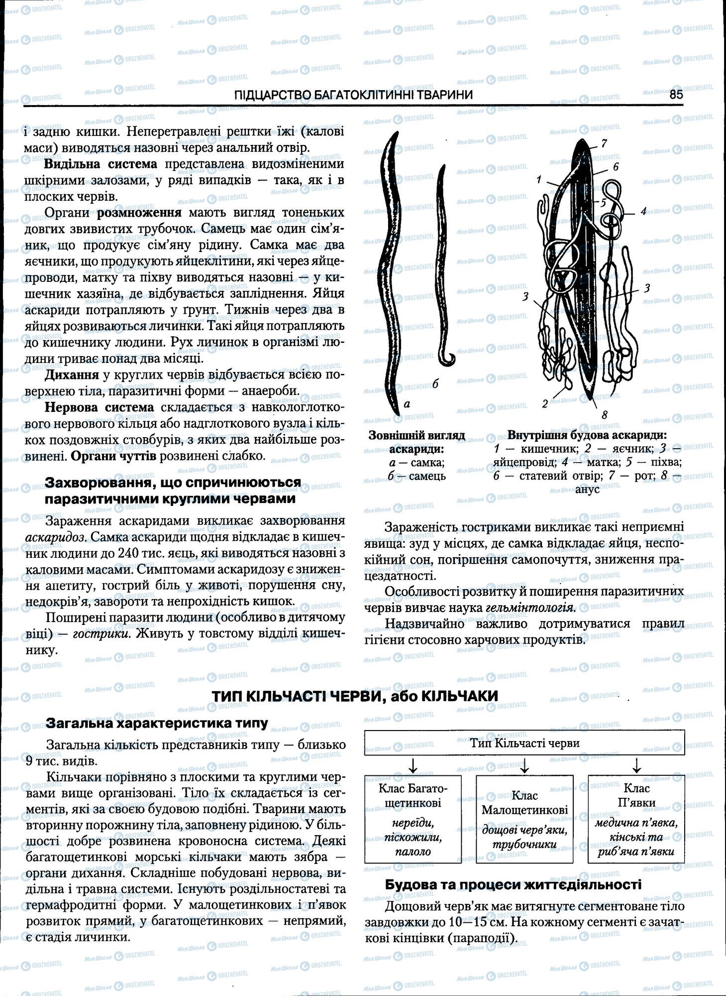 ЗНО Біологія 11 клас сторінка 085