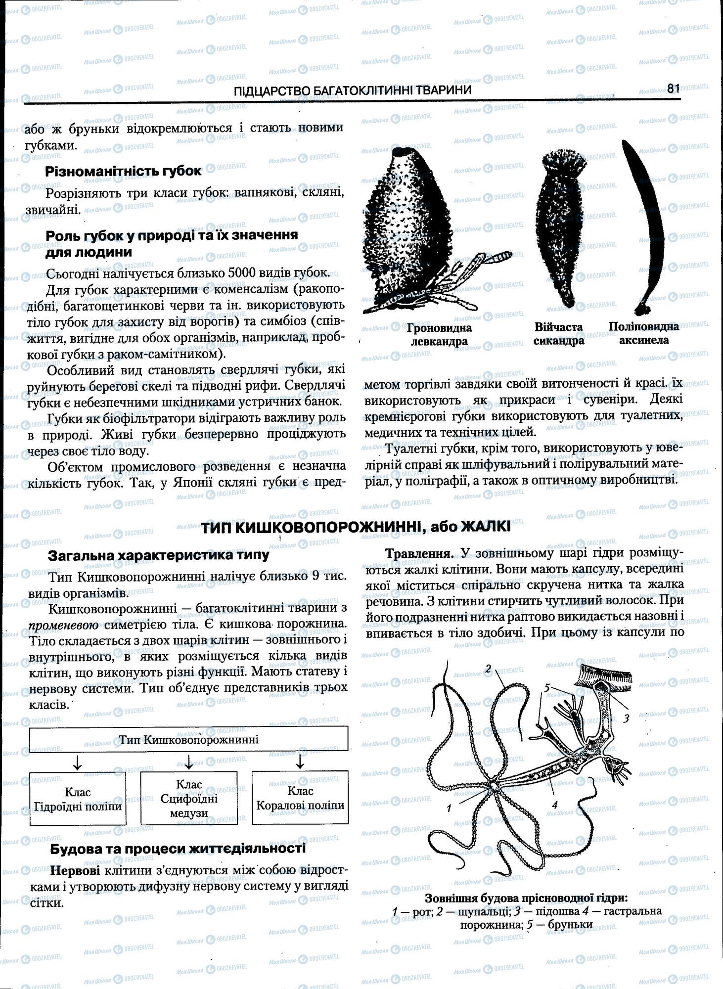 ЗНО Биология 11 класс страница 081