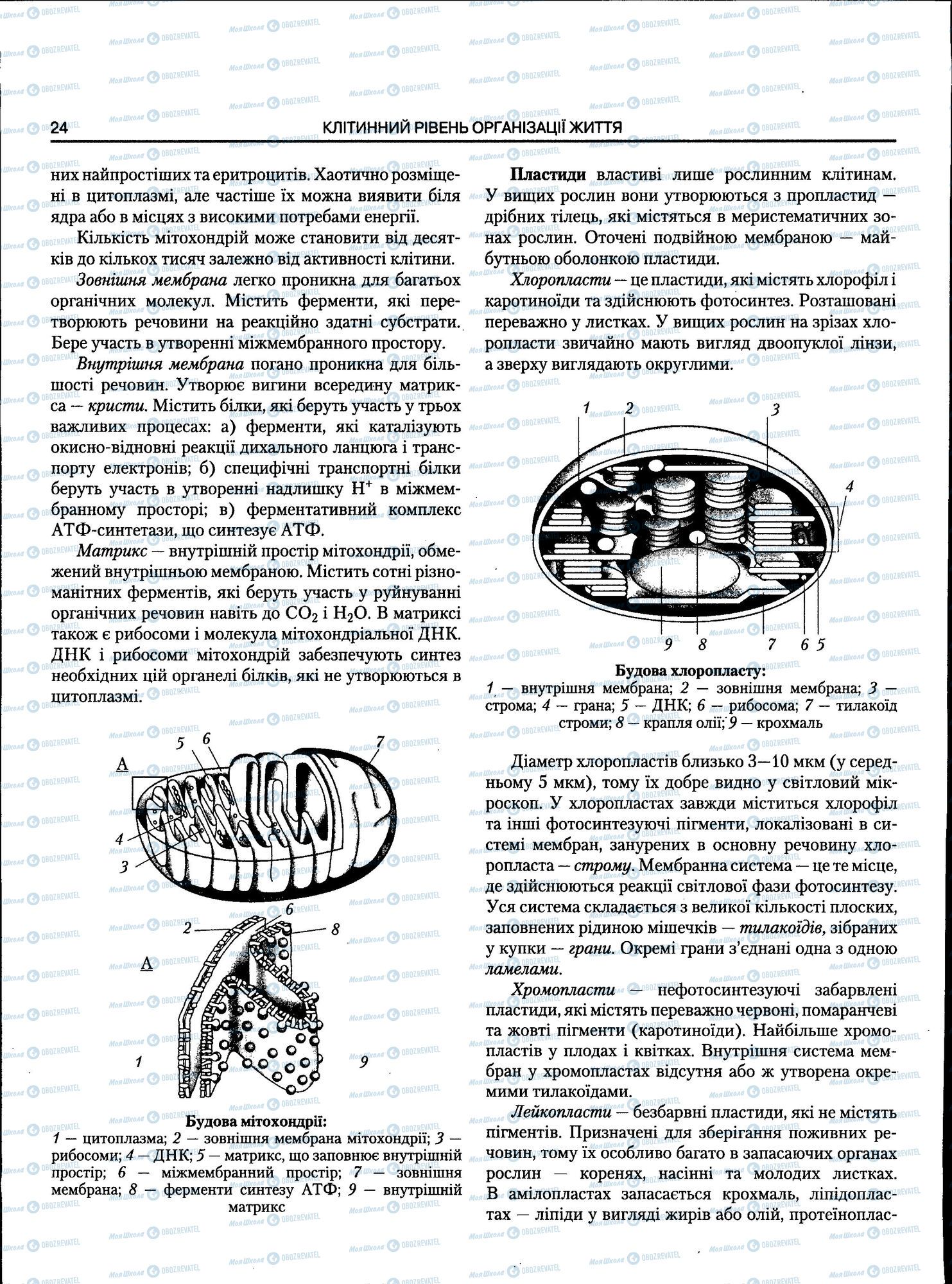 ЗНО Біологія 11 клас сторінка 024
