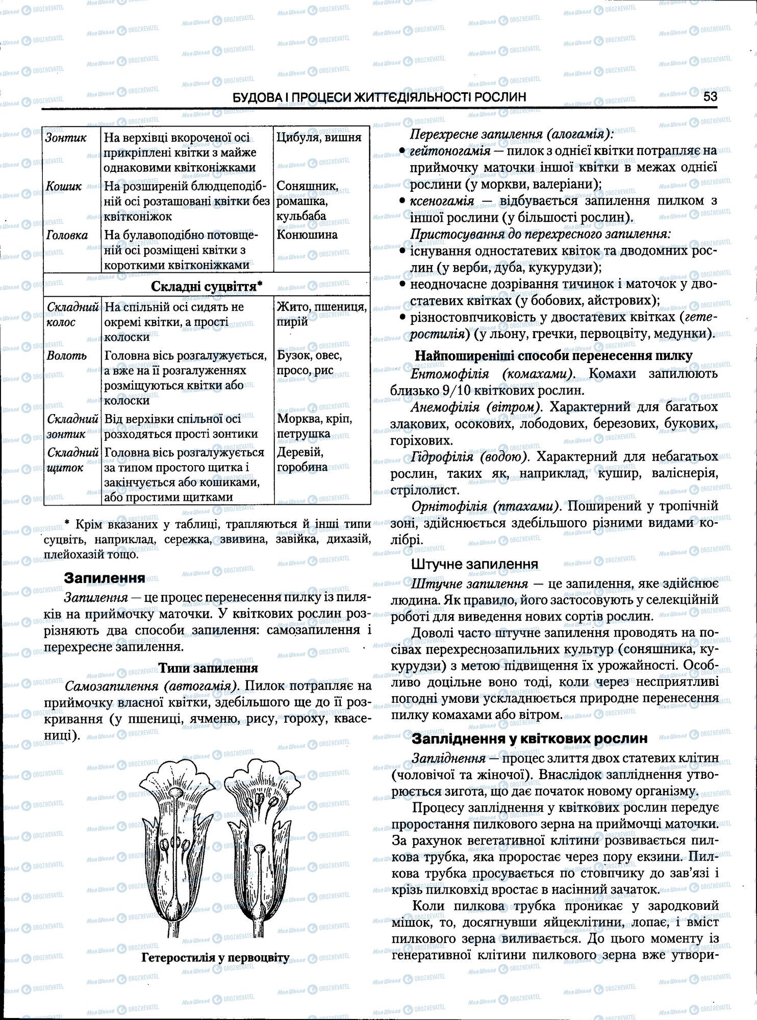 ЗНО Біологія 11 клас сторінка 053