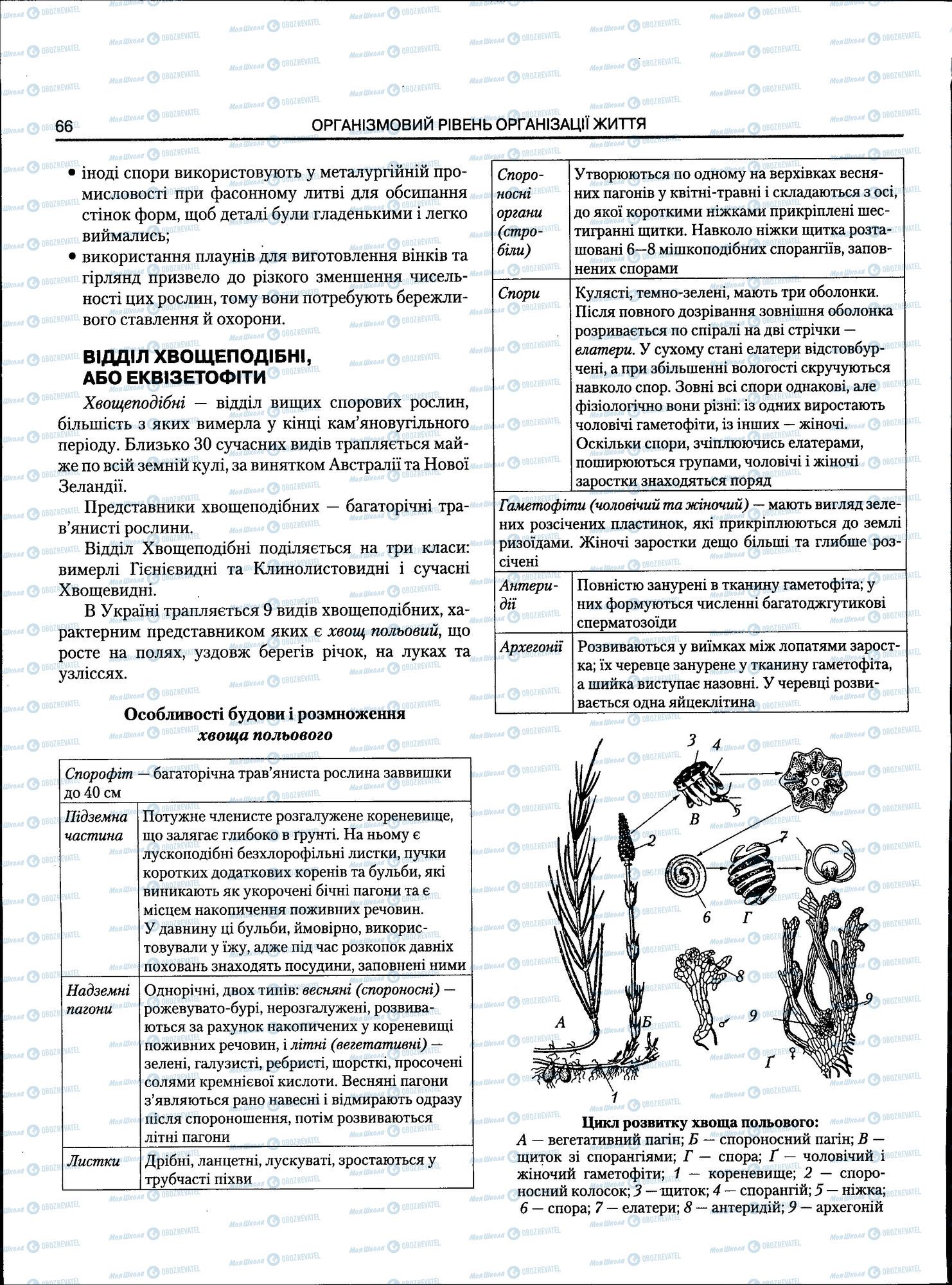 ЗНО Биология 11 класс страница 066