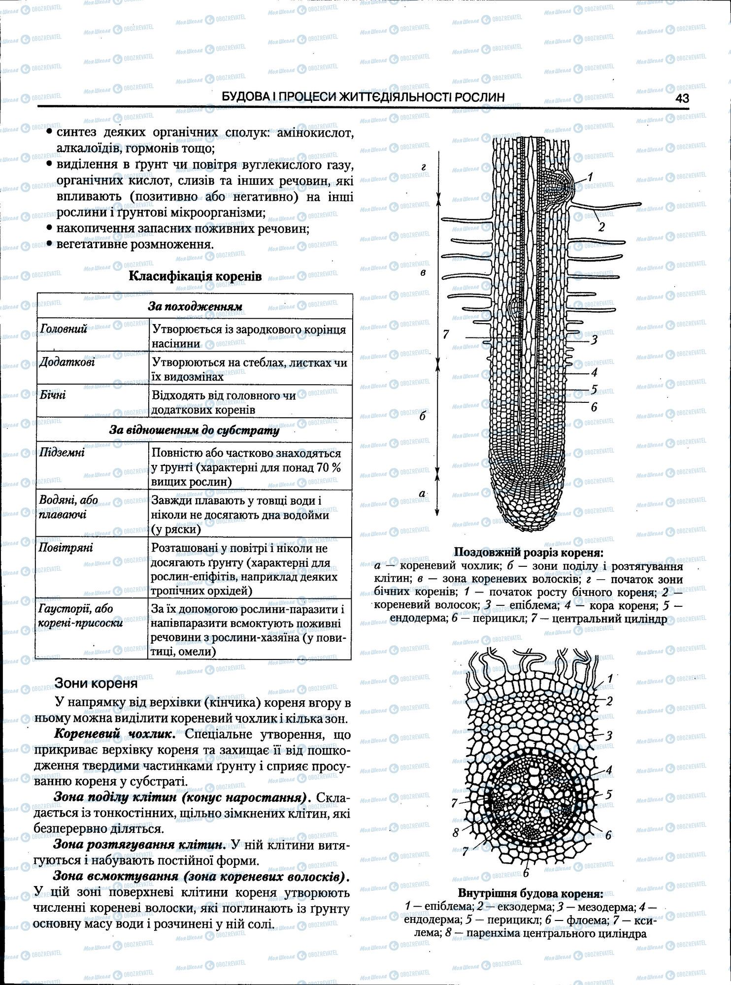 ЗНО Біологія 11 клас сторінка 043