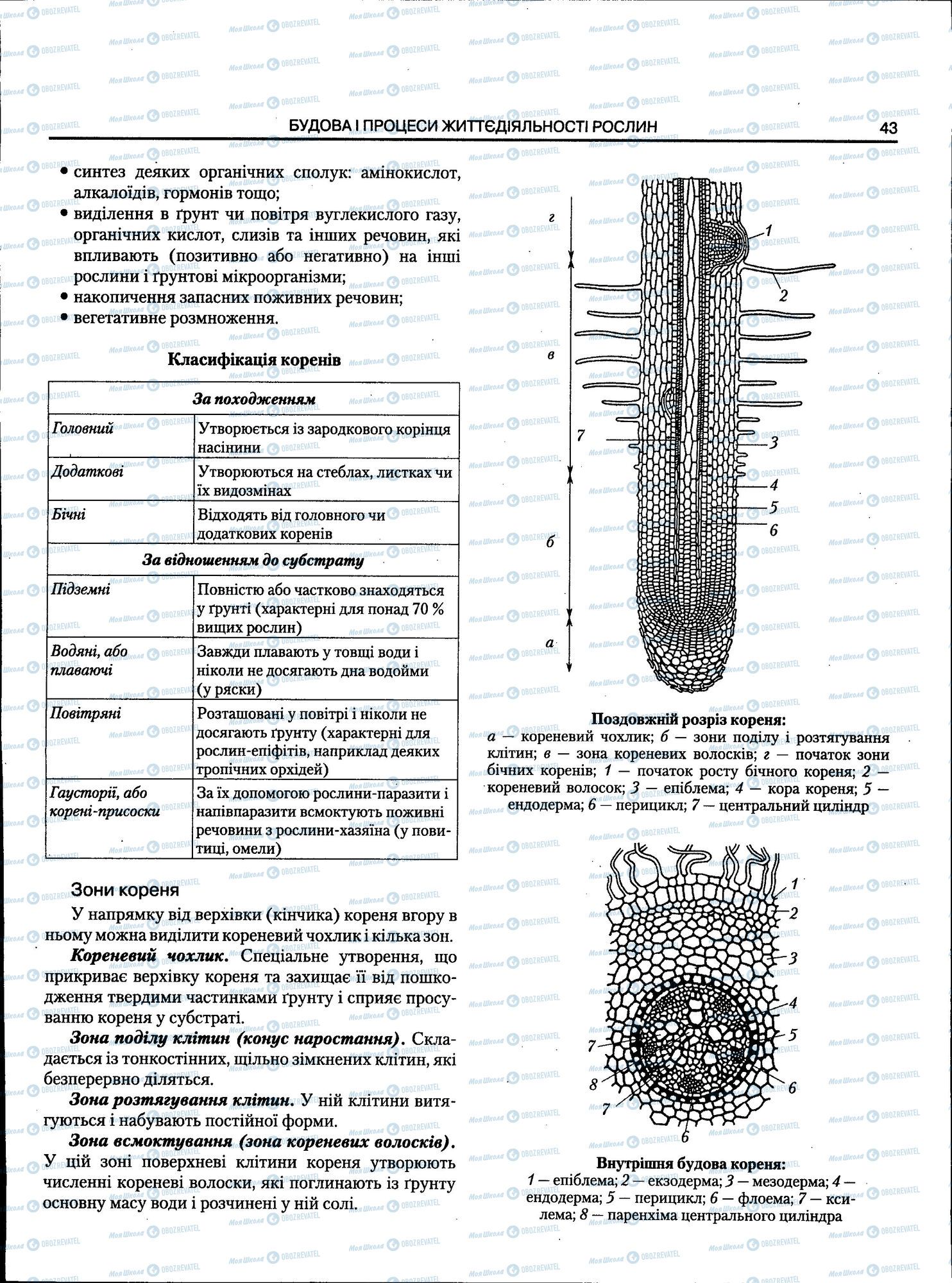 ЗНО Биология 11 класс страница 043