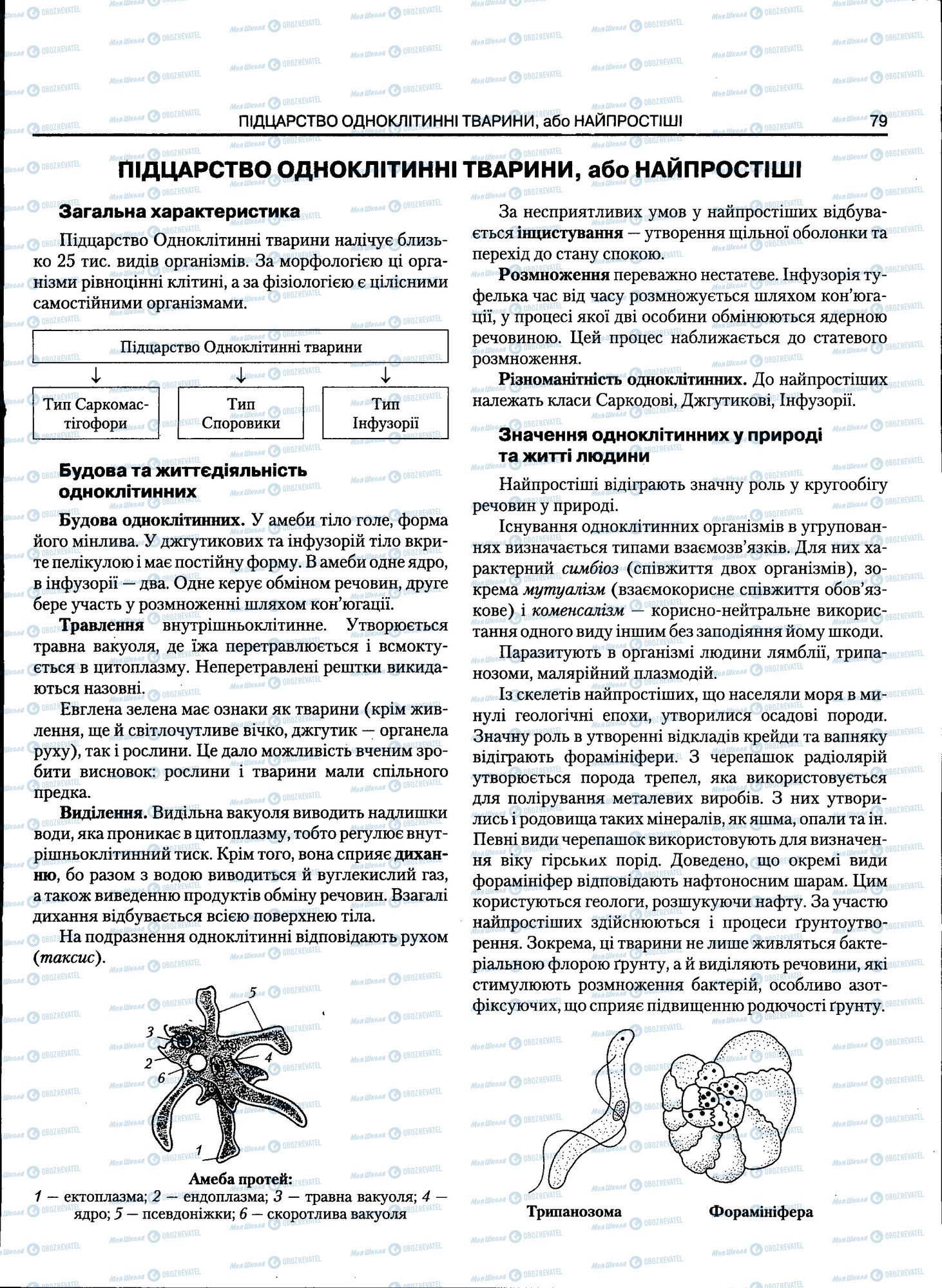 ЗНО Биология 11 класс страница 079