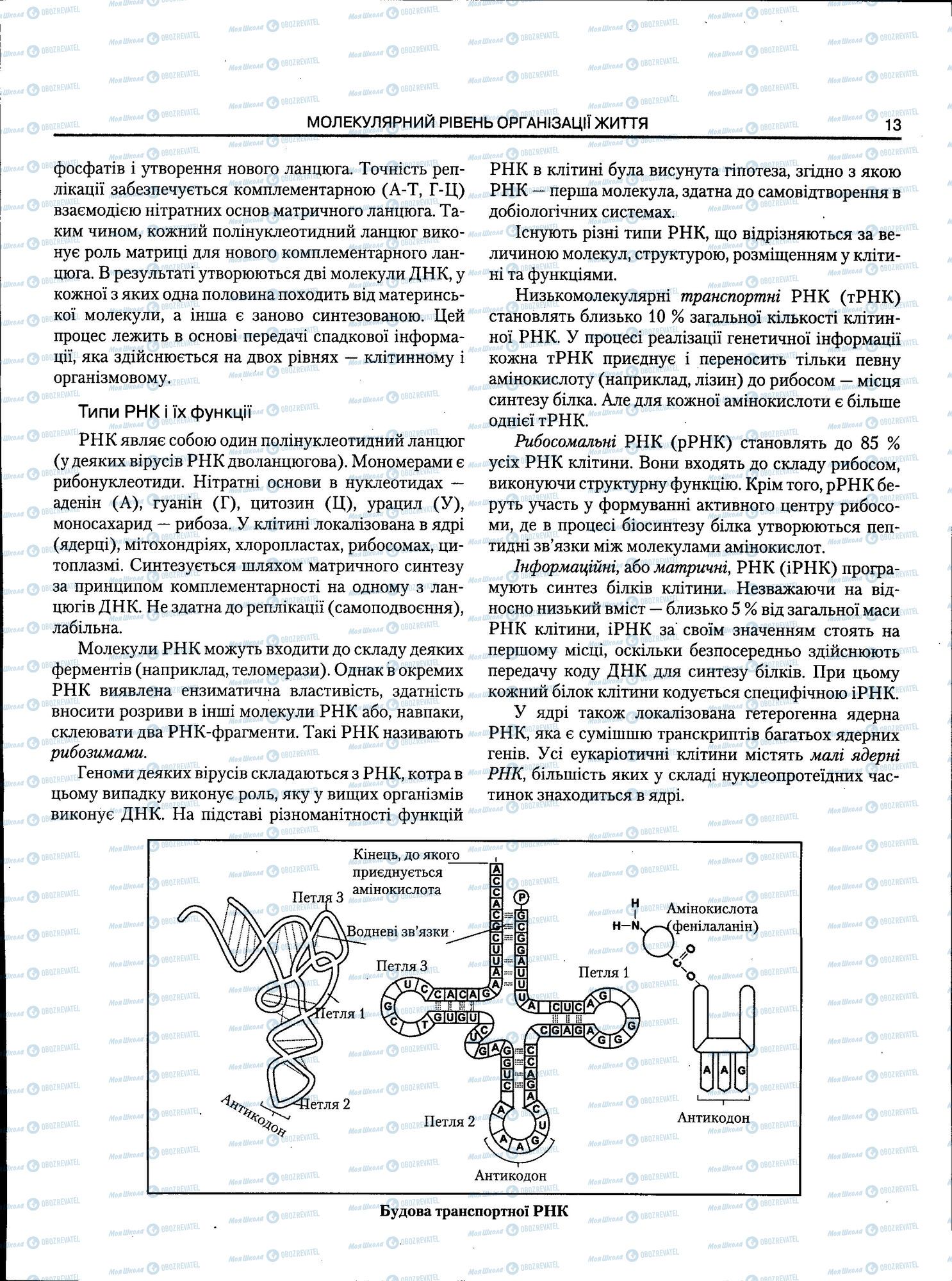 ЗНО Биология 11 класс страница 013