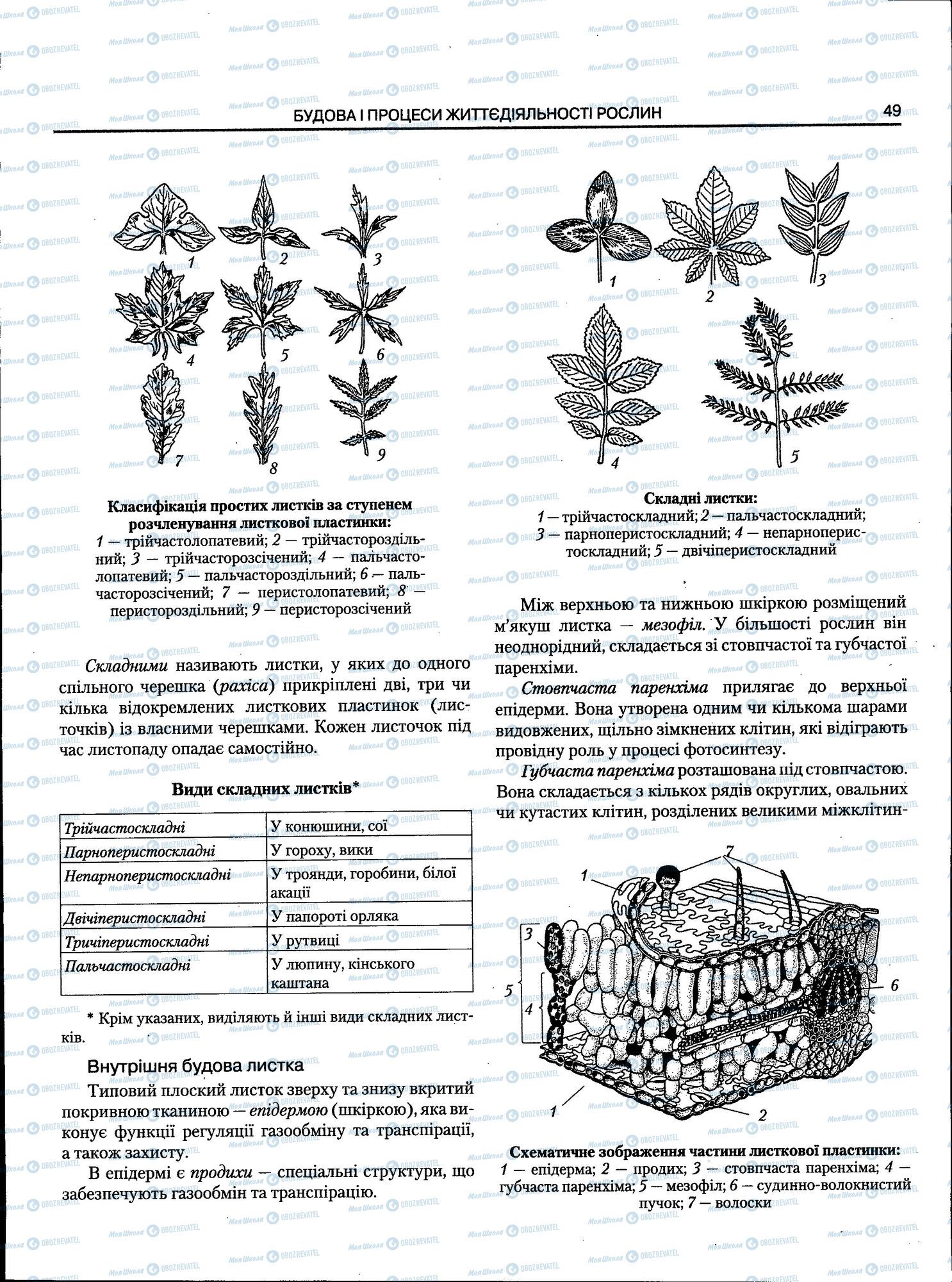ЗНО Биология 11 класс страница 049