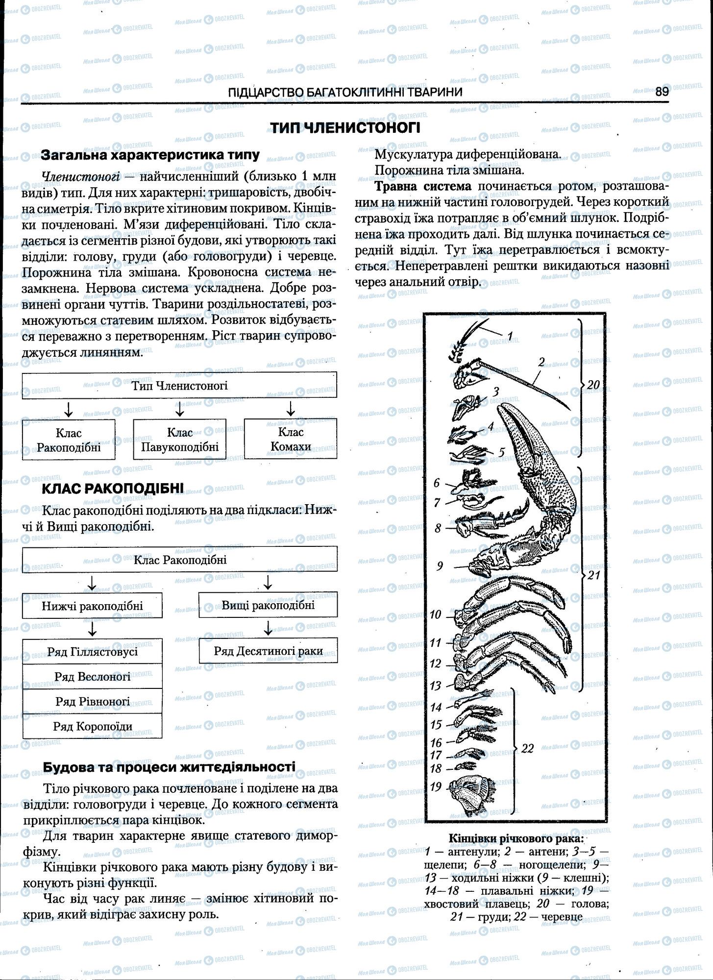ЗНО Биология 11 класс страница 089