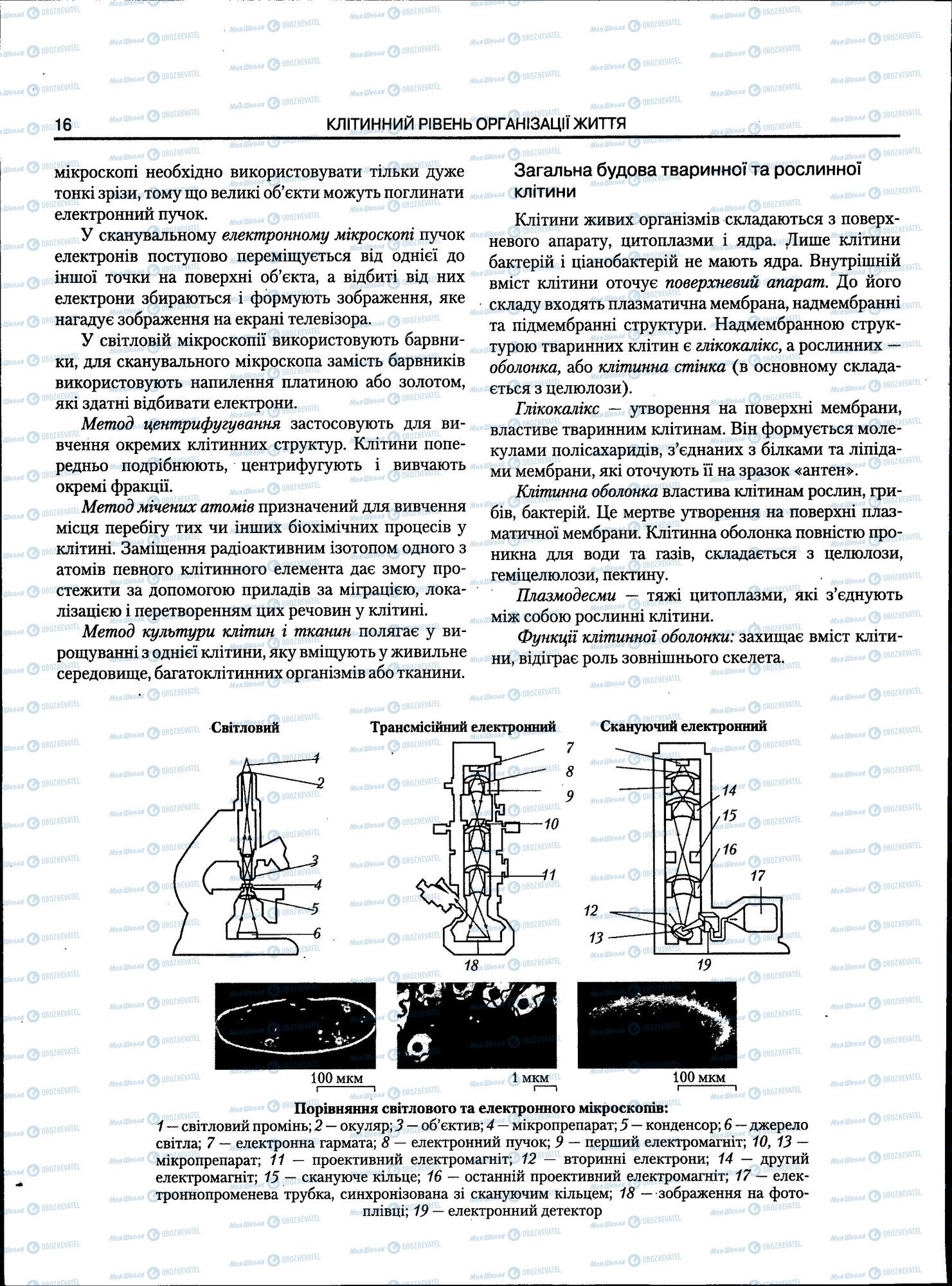 ЗНО Биология 11 класс страница 016