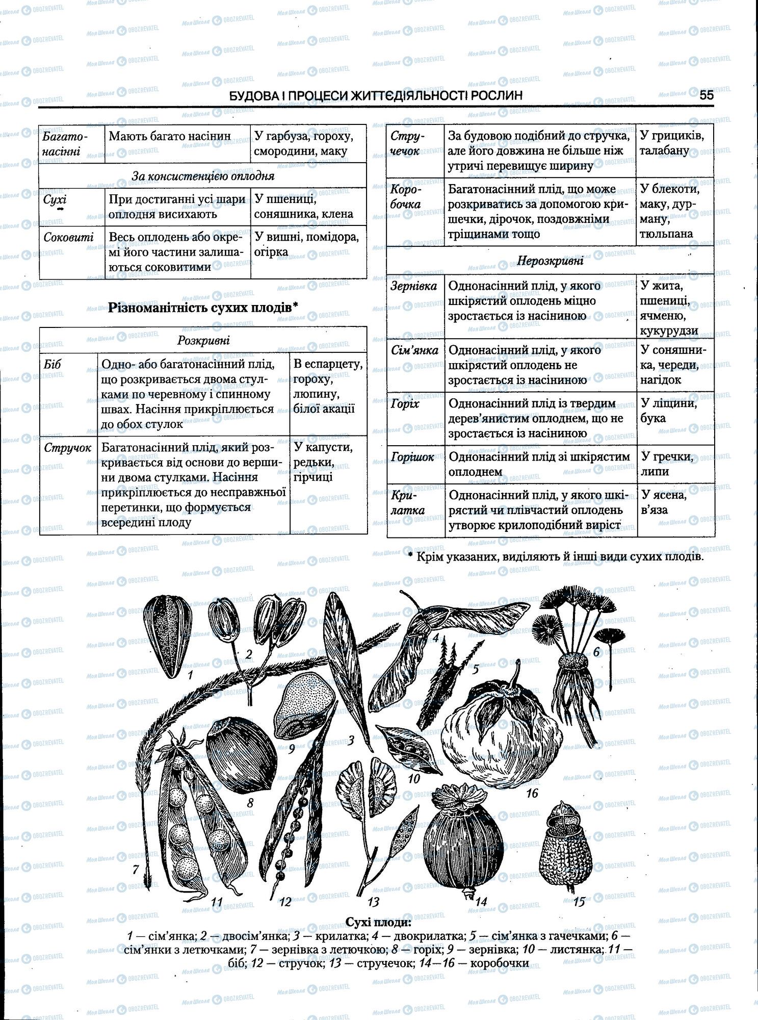 ЗНО Біологія 11 клас сторінка 055