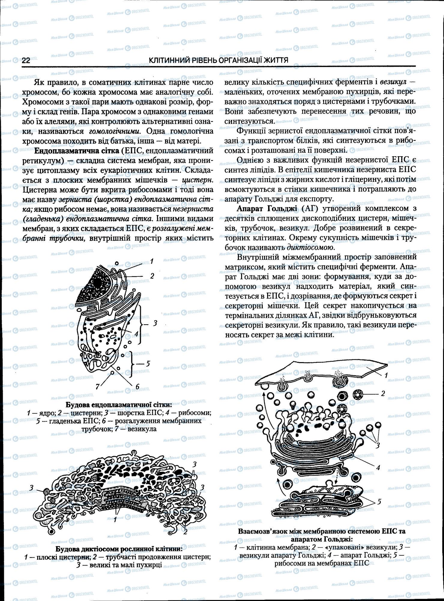 ЗНО Біологія 11 клас сторінка 022