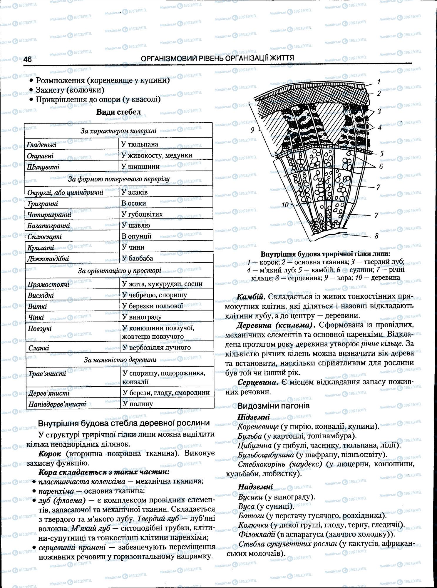 ЗНО Біологія 11 клас сторінка 046