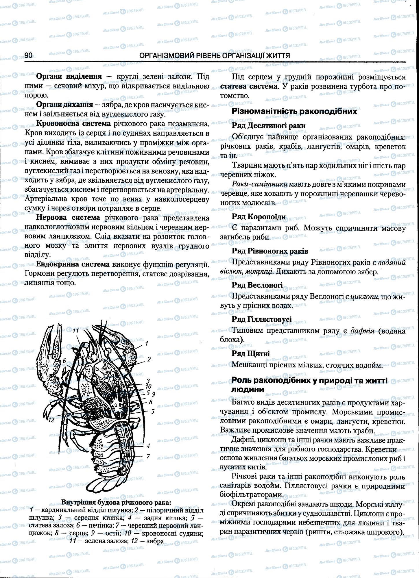 ЗНО Біологія 11 клас сторінка 090