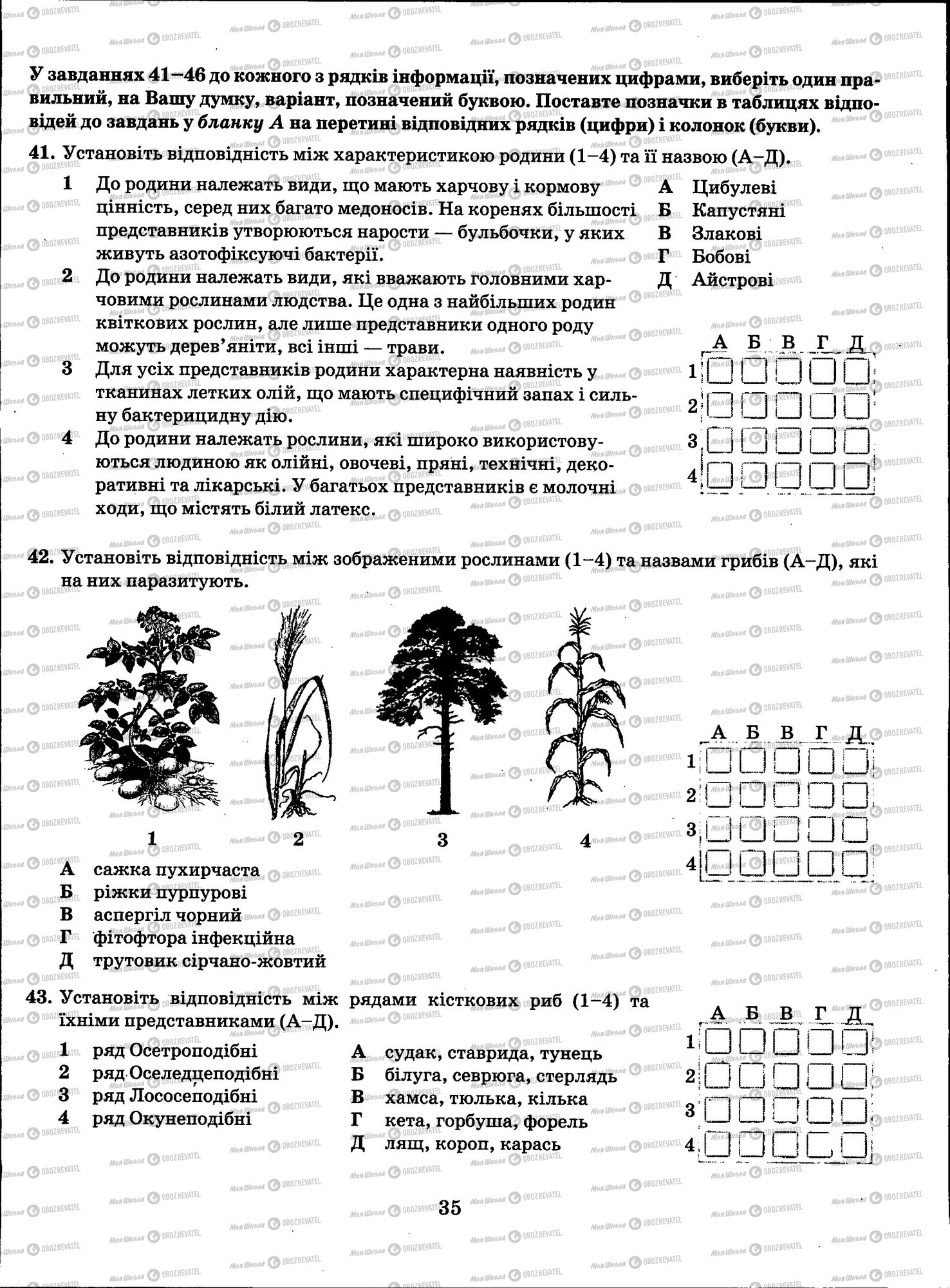 ЗНО Біологія 11 клас сторінка 035