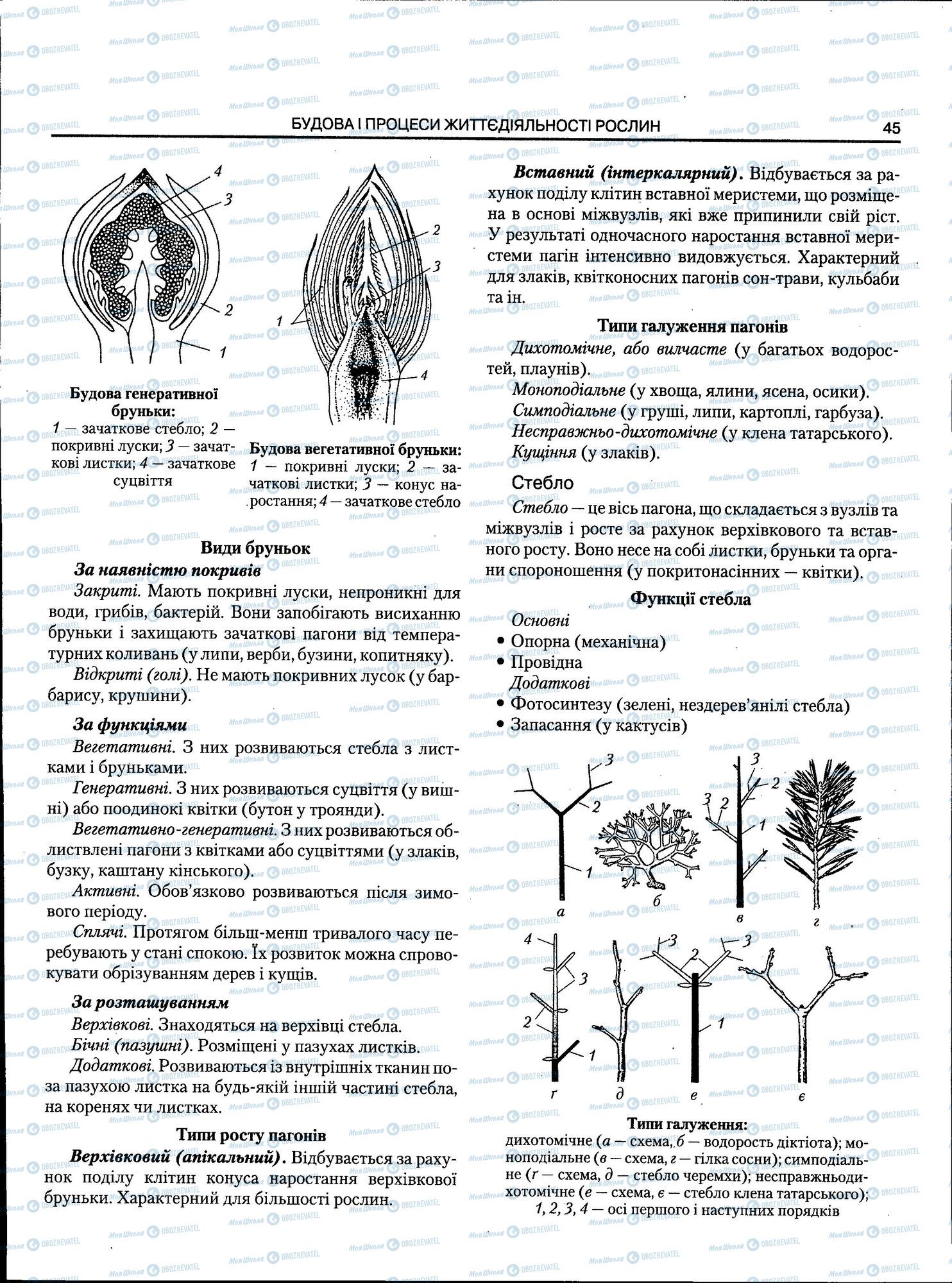ЗНО Біологія 11 клас сторінка 045