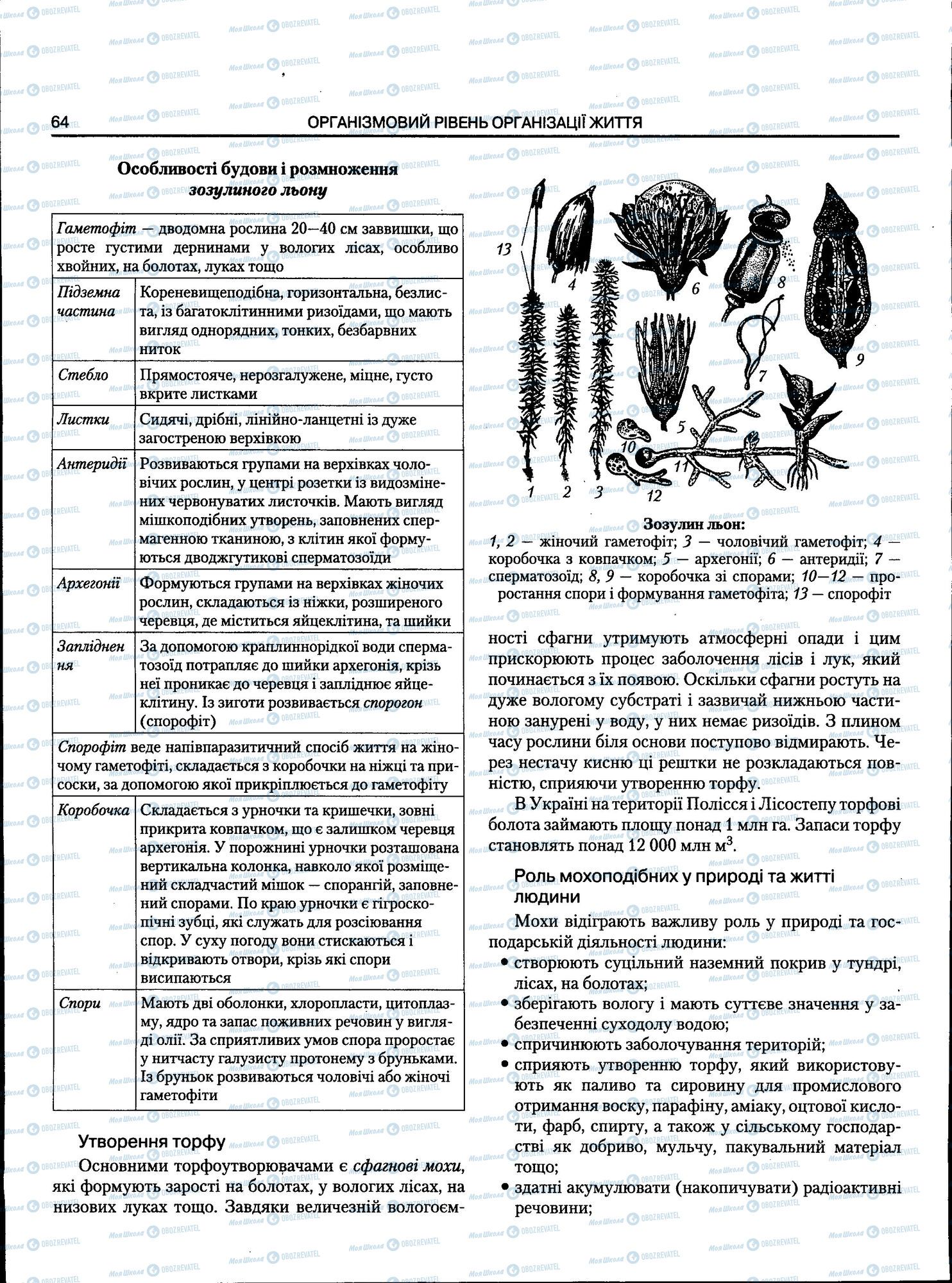 ЗНО Біологія 11 клас сторінка 064