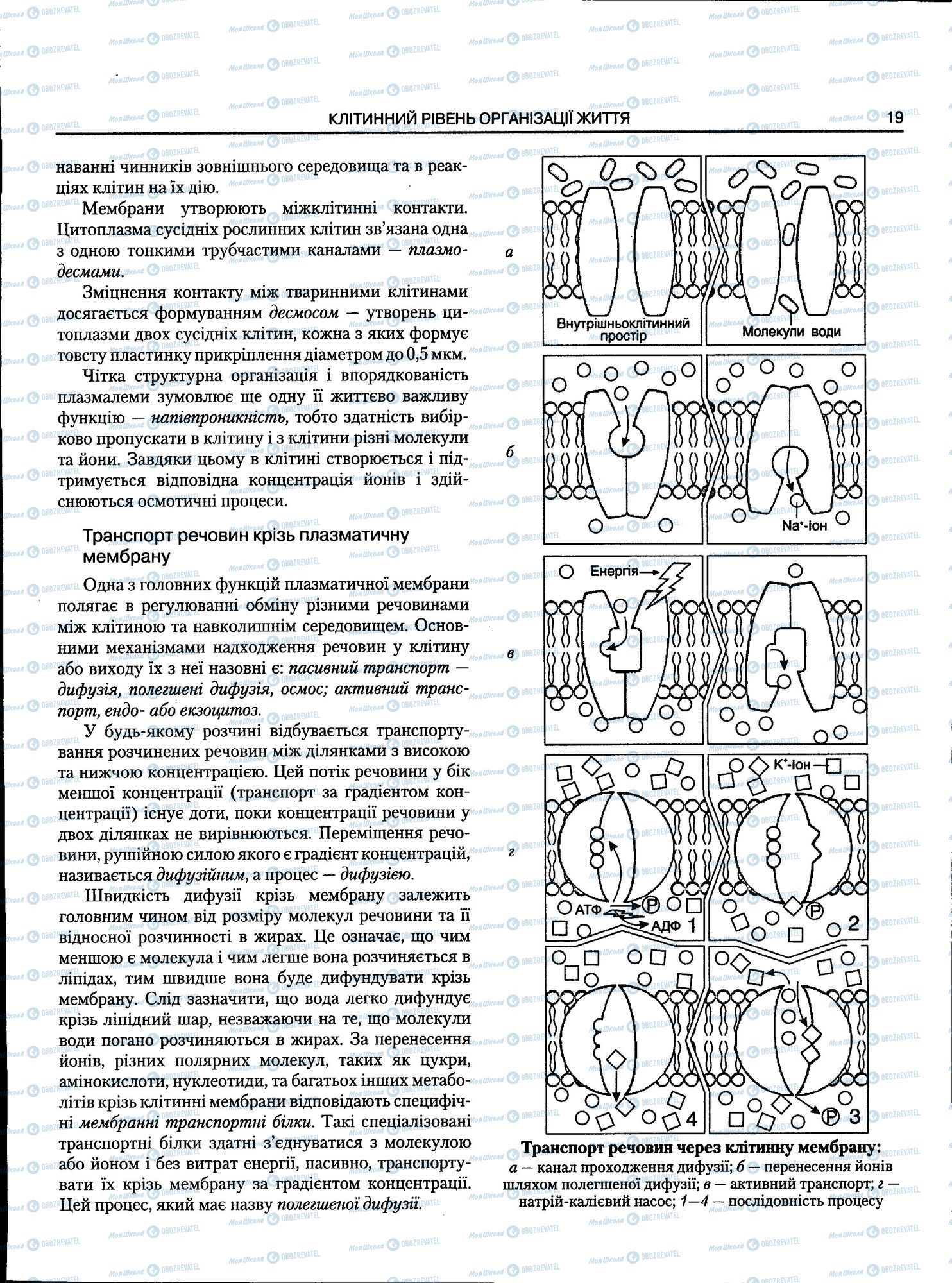 ЗНО Биология 11 класс страница 019