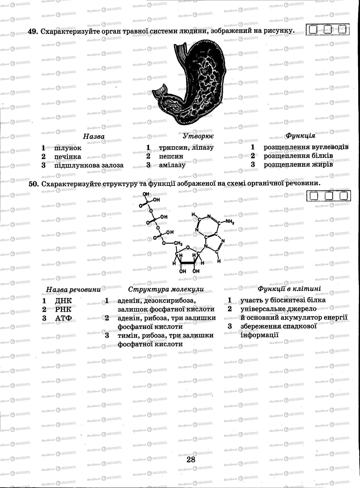ЗНО Біологія 11 клас сторінка 028