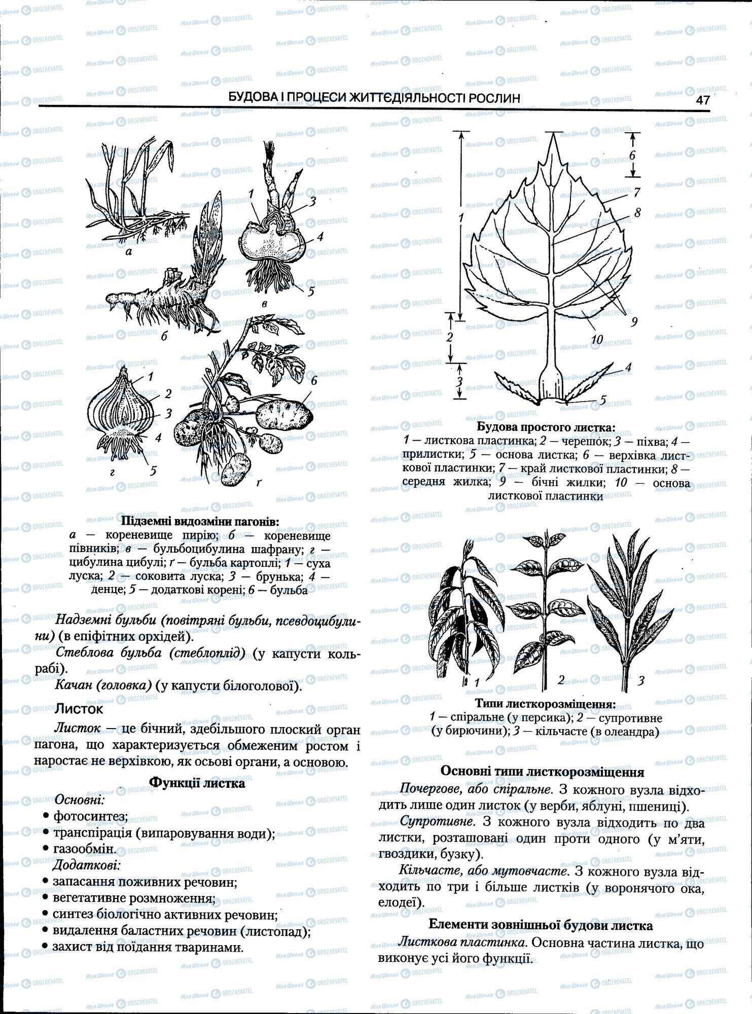 ЗНО Биология 11 класс страница 047