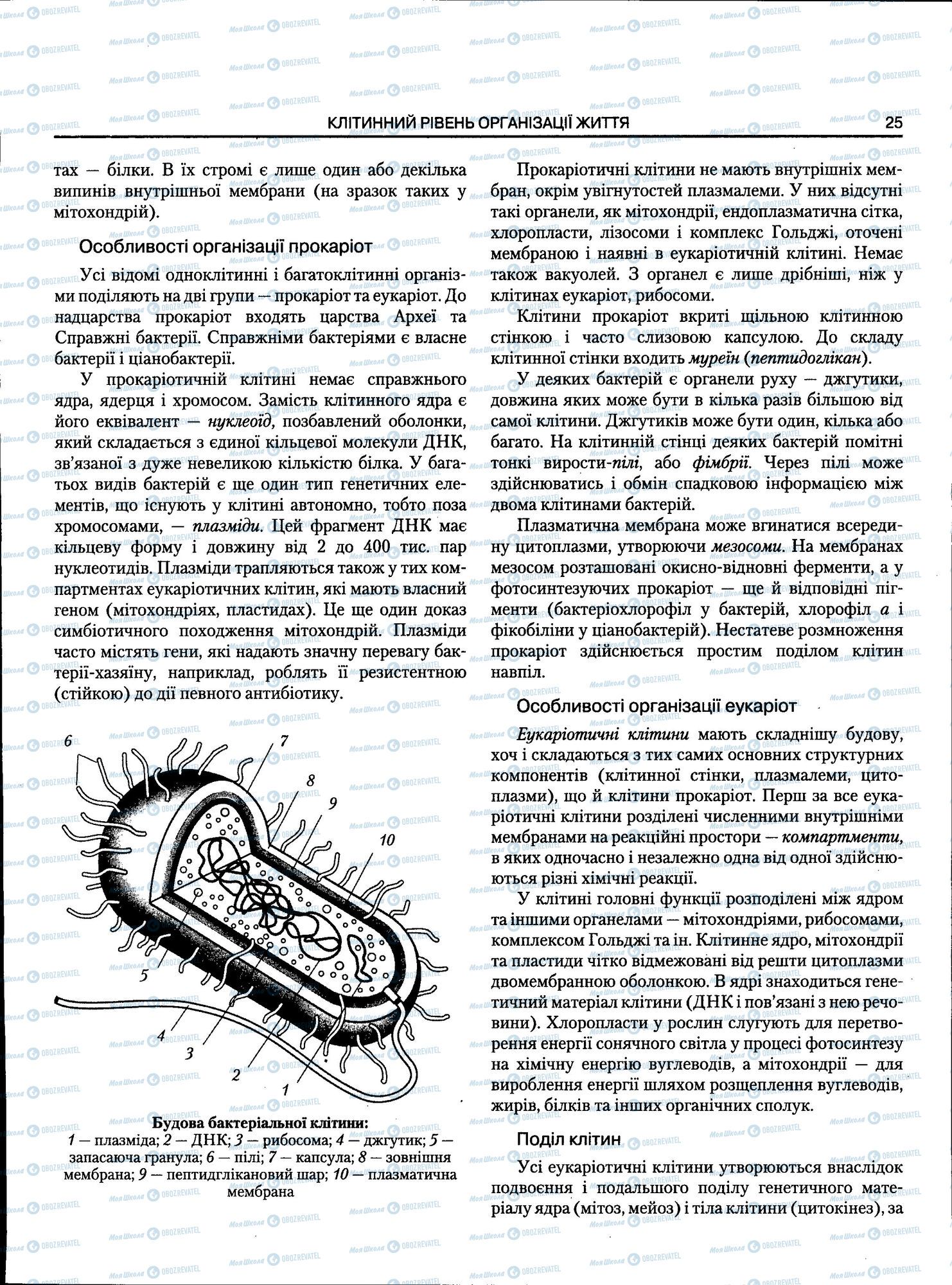 ЗНО Біологія 11 клас сторінка 025