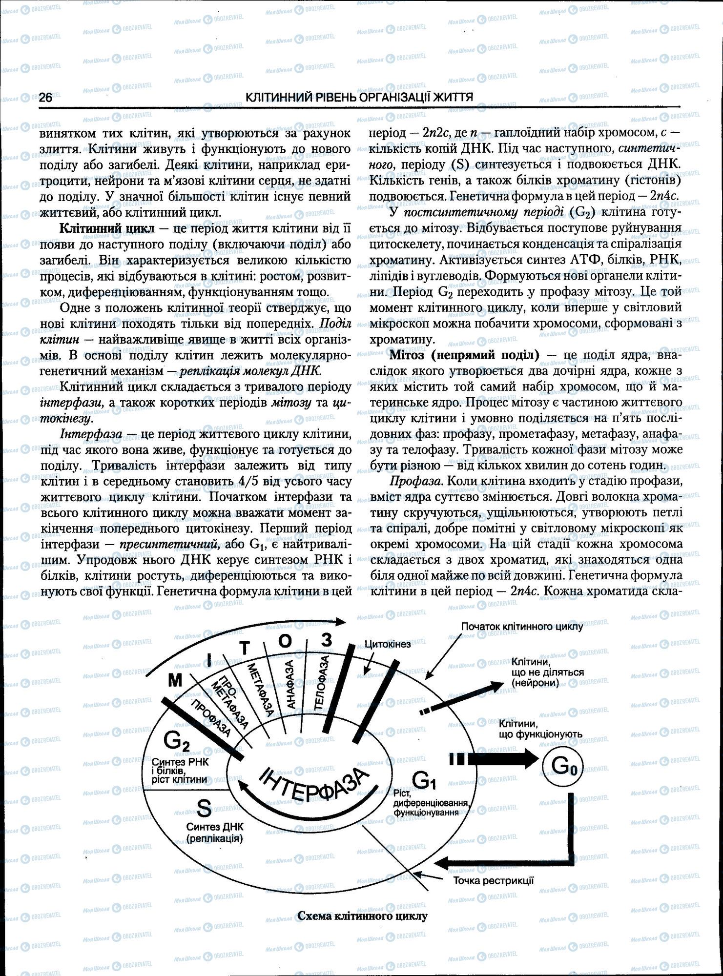 ЗНО Биология 11 класс страница 026