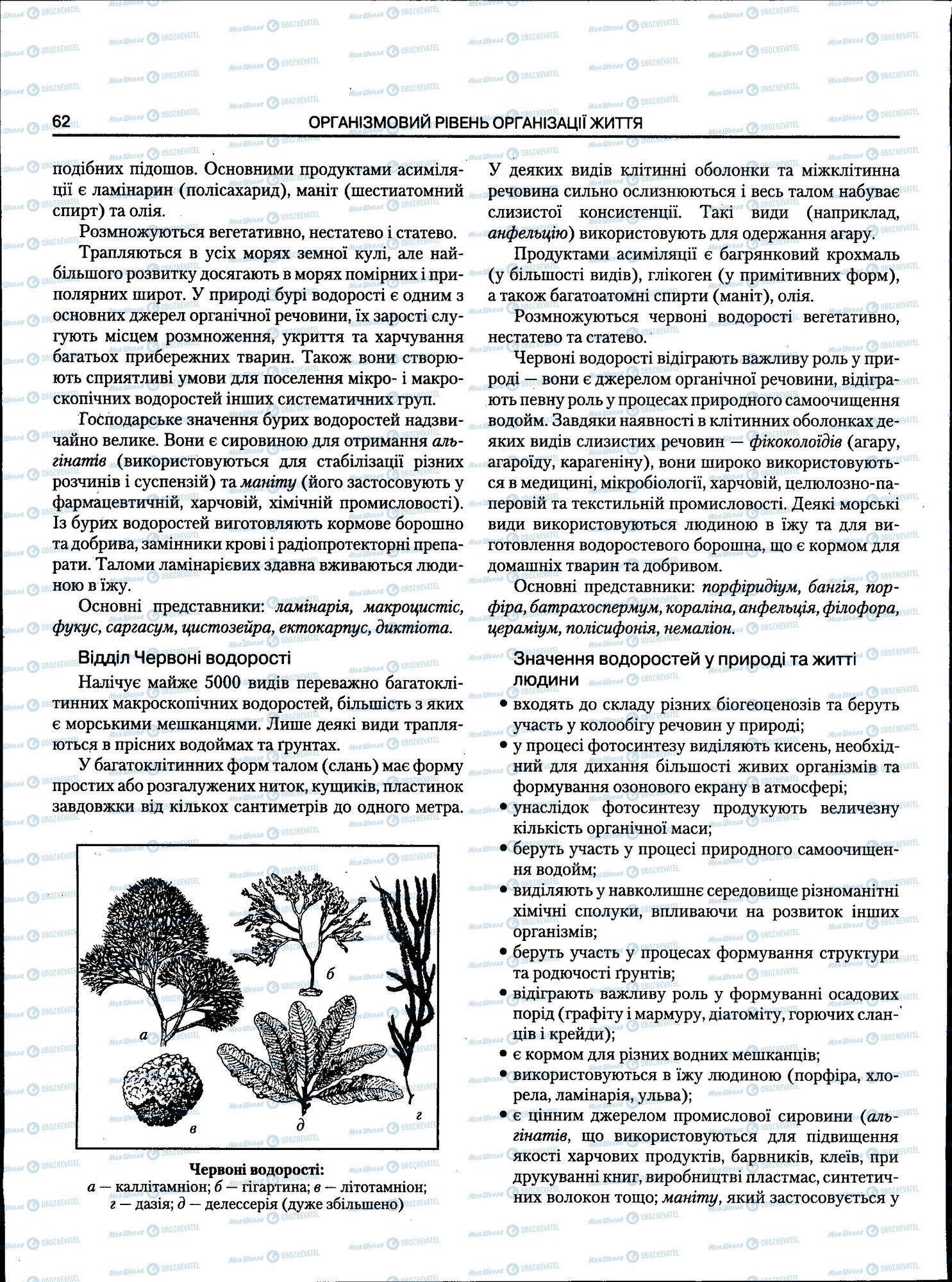 ЗНО Биология 11 класс страница 062