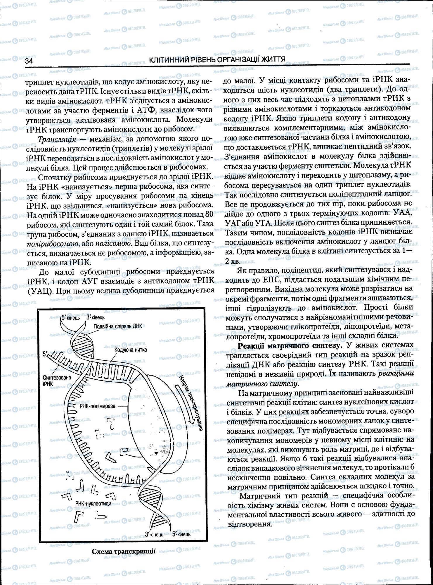 ЗНО Біологія 11 клас сторінка 034