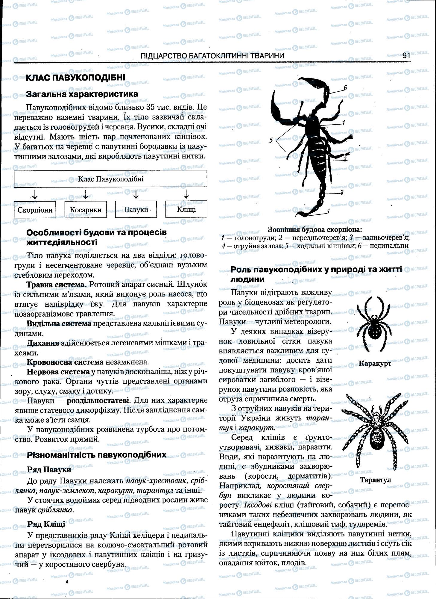 ЗНО Биология 11 класс страница 091