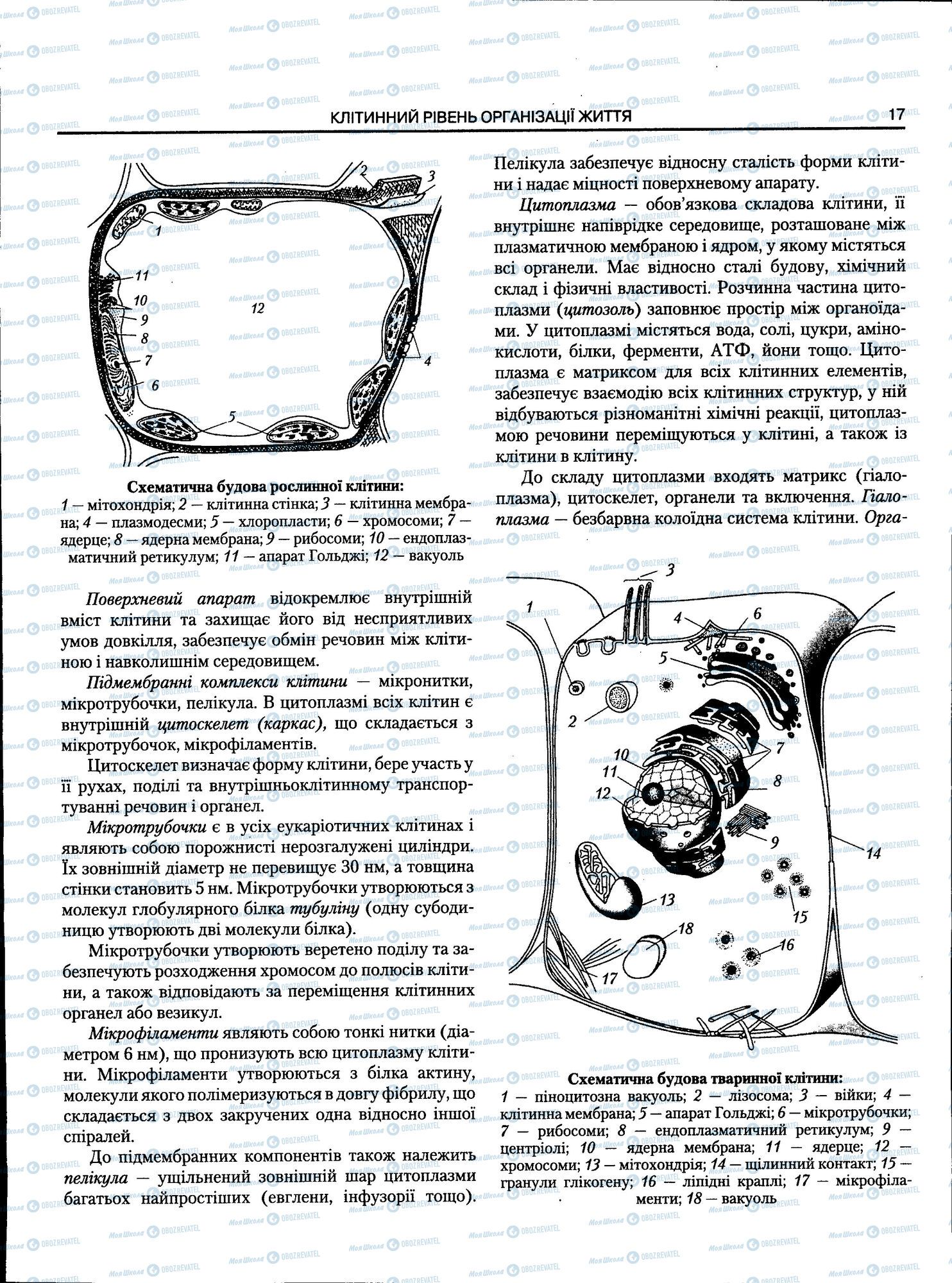 ЗНО Біологія 11 клас сторінка 017