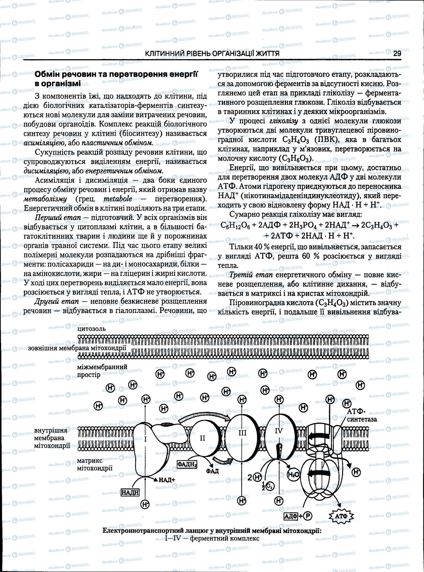ЗНО Біологія 11 клас сторінка 029
