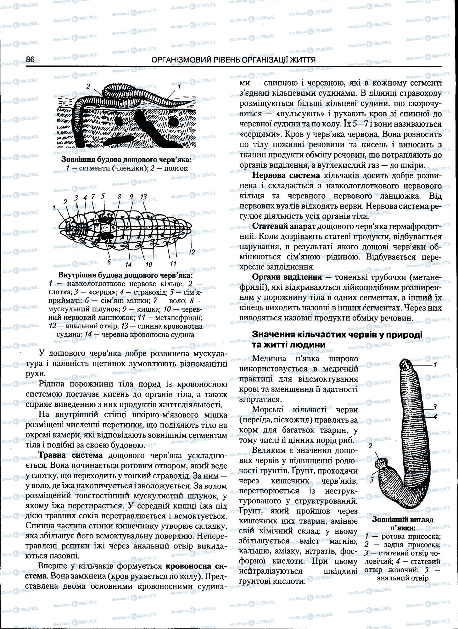 ЗНО Биология 11 класс страница 086