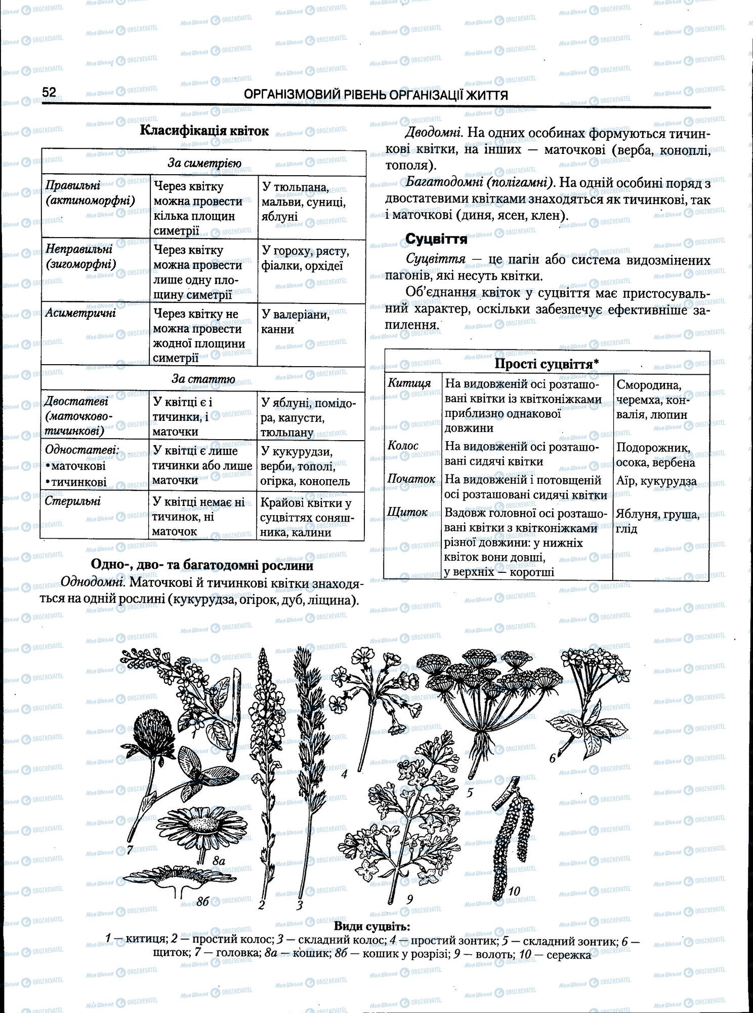 ЗНО Біологія 11 клас сторінка 052
