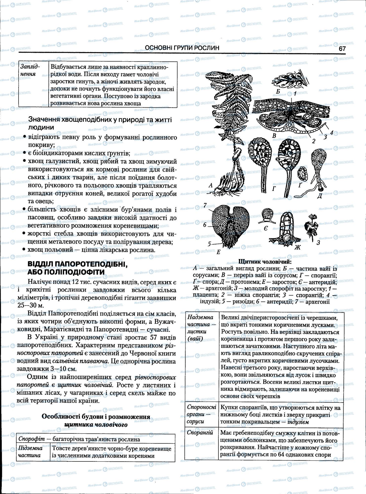 ЗНО Біологія 11 клас сторінка 067