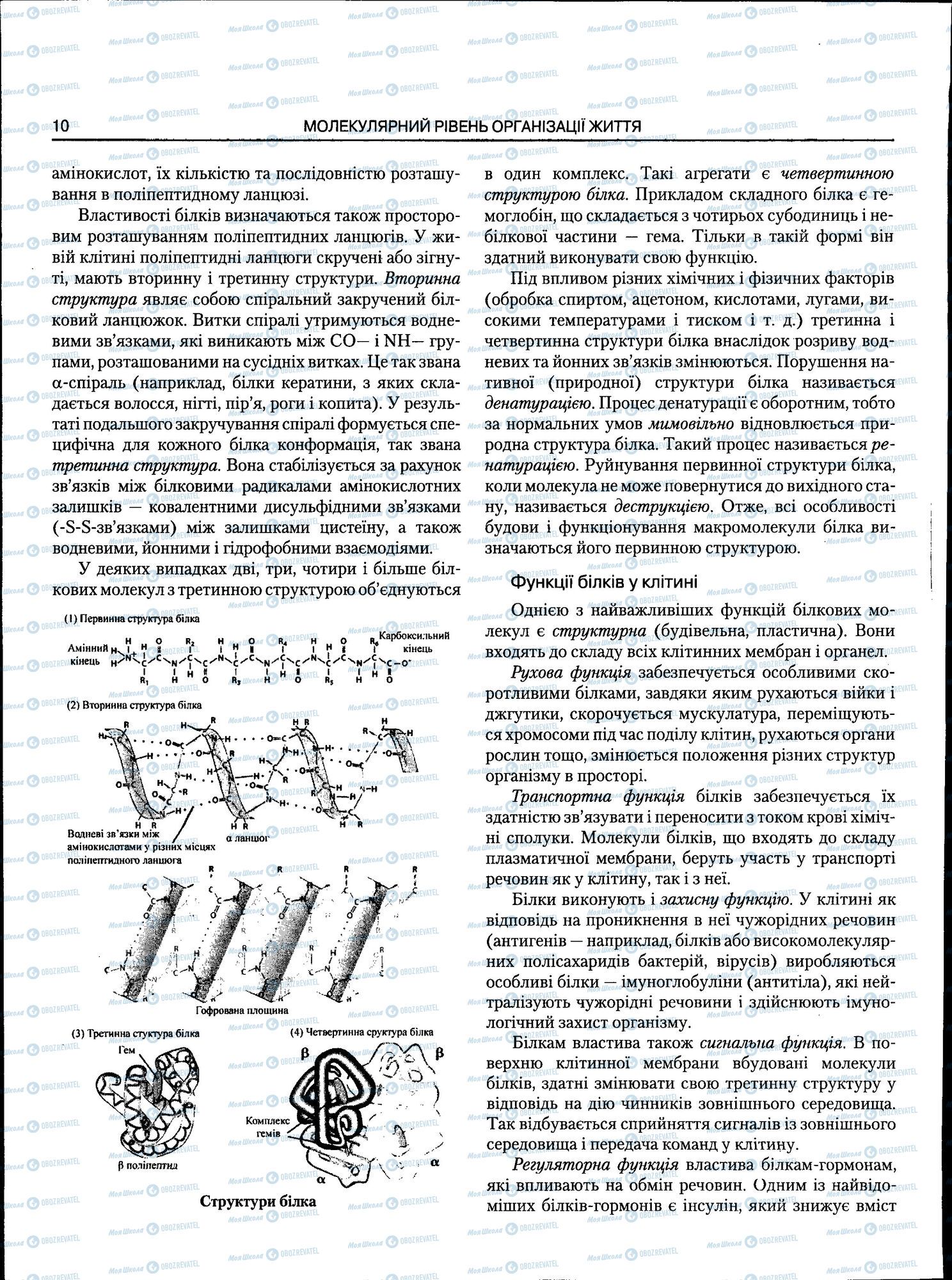 ЗНО Біологія 11 клас сторінка 010