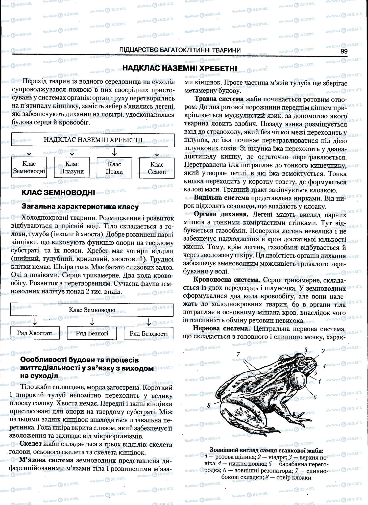 ЗНО Биология 11 класс страница 099