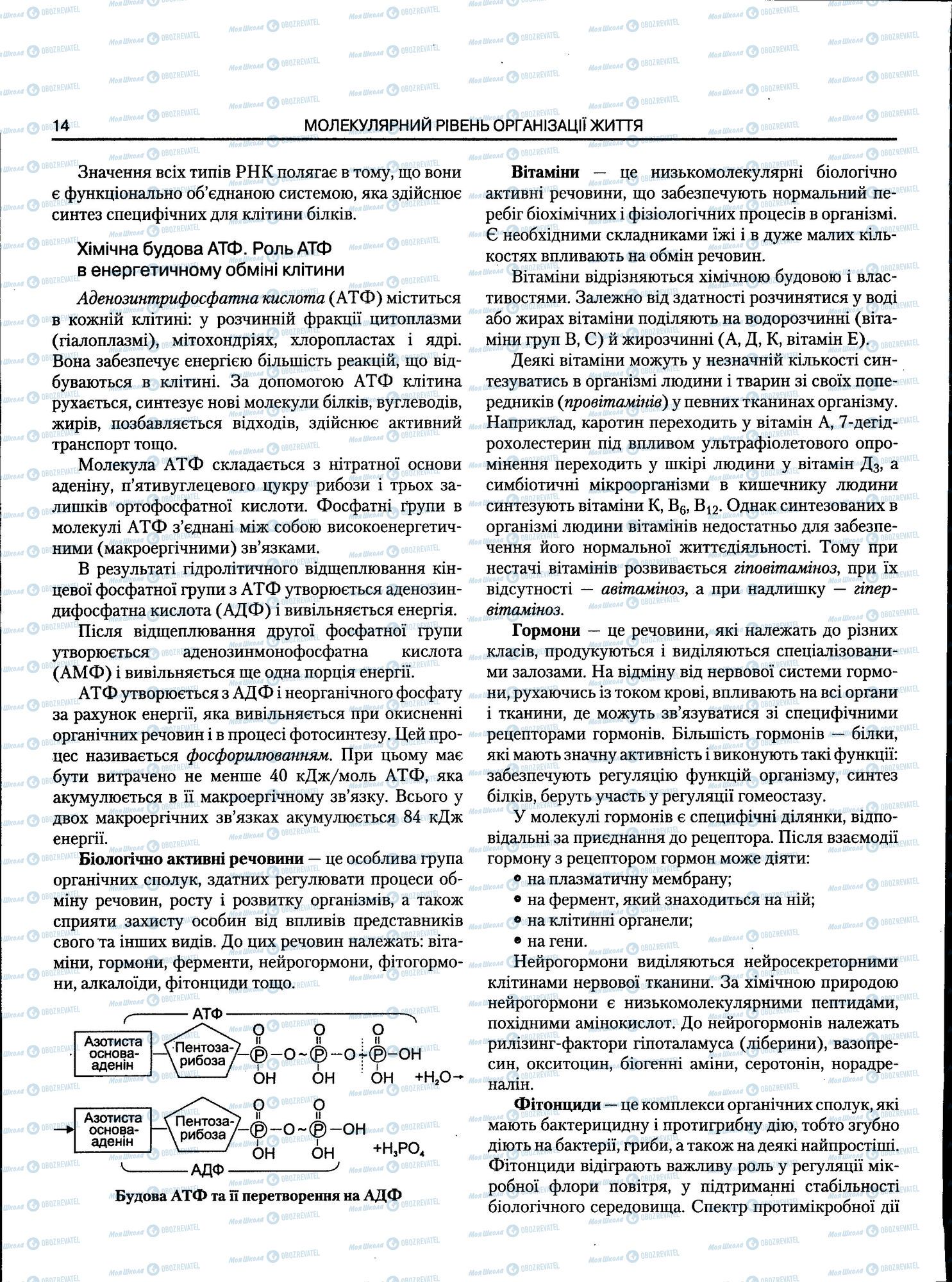 ЗНО Біологія 11 клас сторінка 014