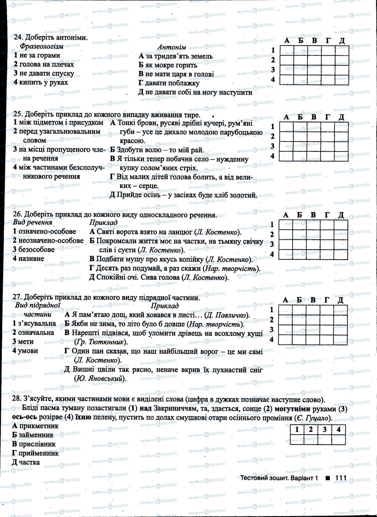 ДПА Укр мова 11 класс страница 111