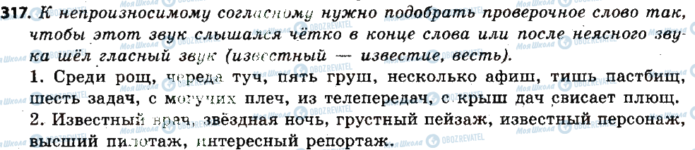 ГДЗ Російська мова 6 клас сторінка 317