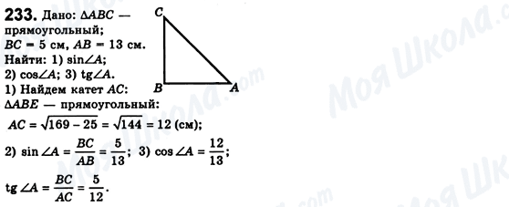 ГДЗ Геометрія 8 клас сторінка 233