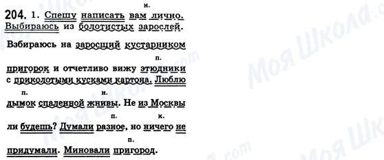 ГДЗ Русский язык 8 класс страница 204