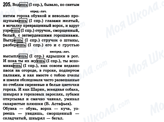 ГДЗ Російська мова 8 клас сторінка 205