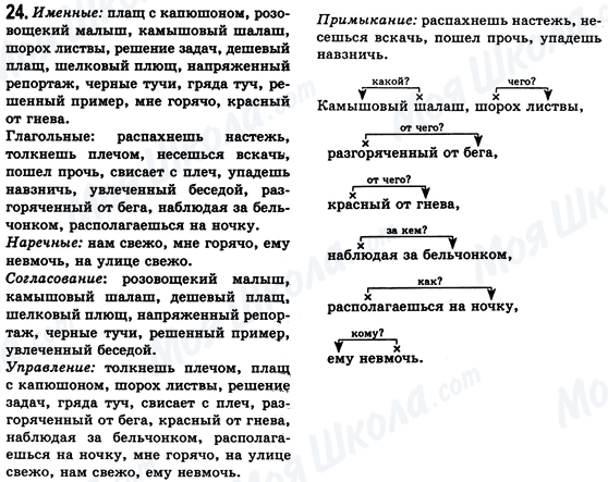 ГДЗ Русский язык 8 класс страница 24