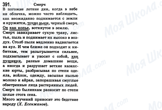 ГДЗ Російська мова 8 клас сторінка 391