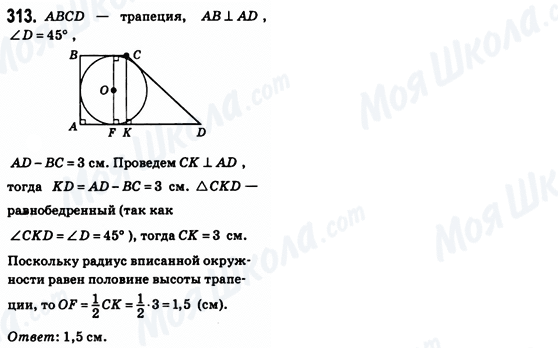 ГДЗ Геометрія 8 клас сторінка 313