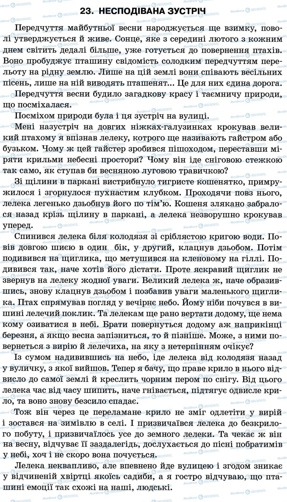 ДПА Укр мова 11 класс страница 23. Несподівана зустріч