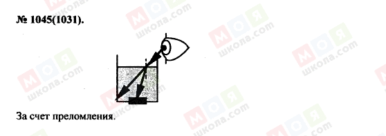 ГДЗ Фізика 11 клас сторінка 1045(1031)