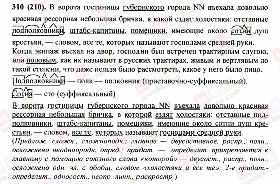 ГДЗ Російська мова 9 клас сторінка 310(210)