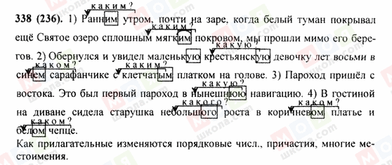 ГДЗ Російська мова 9 клас сторінка 338(236)