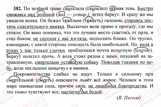 ГДЗ Російська мова 6 клас сторінка 382