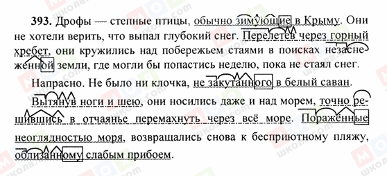 ГДЗ Російська мова 6 клас сторінка 393
